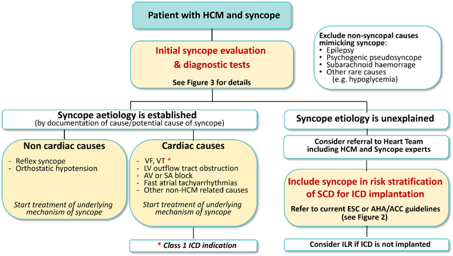 肥厚型心肌病暈厥如何診斷和管理，看看專家共識怎么說