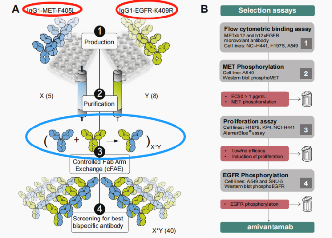 2022年終盤點(diǎn) | NSCLC靶向治療之EGFR篇