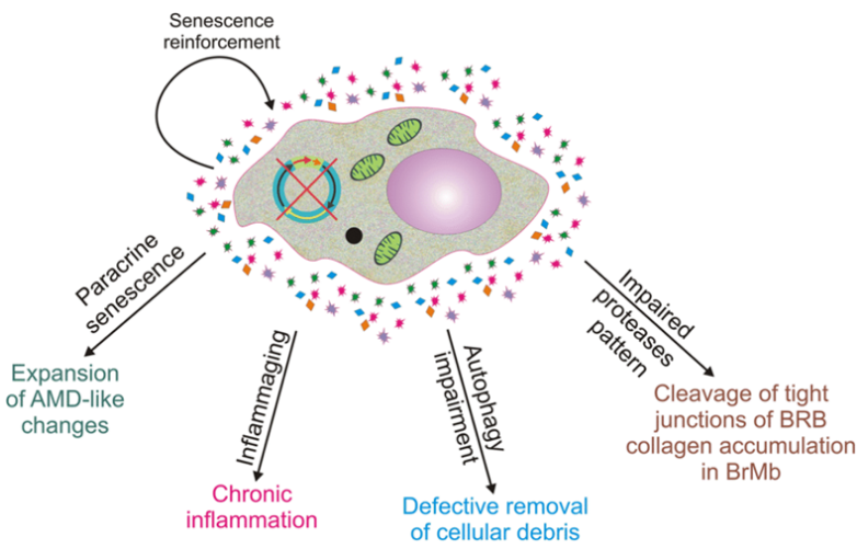 重磅級文章解讀：科學家們在肝癌研究領域取得的新成果！