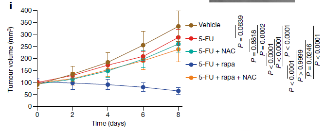 垂死癌細(xì)胞的最后一擊：釋放ATP傳遞信息，幫助臨近癌細(xì)胞產(chǎn)生抗藥性