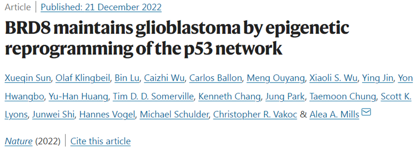 Nature：揭示膠質(zhì)母細(xì)胞瘤背后的秘密，有望開發(fā)出更好的療法