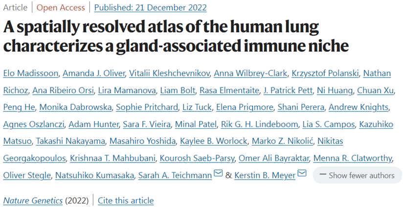 Nat Genet：構建出人體肺部的空間多組學細胞圖譜，發現了11種新的肺細胞類型