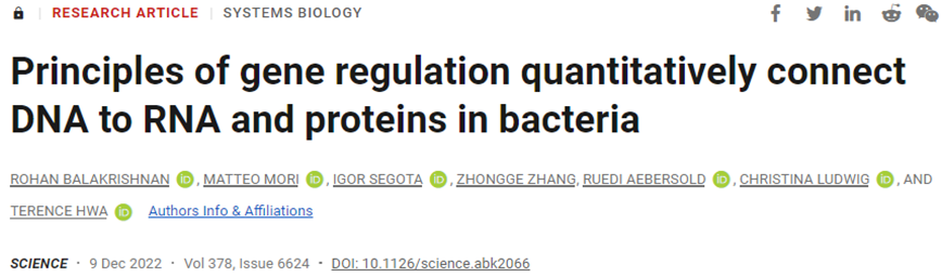 Science：改寫教科書！大腸桿菌的基因表達變化幾乎完全發(fā)生在細胞生長時的轉(zhuǎn)錄階段