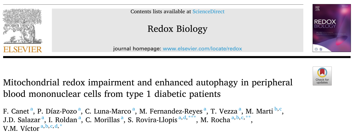 Redox Biology : I型糖尿病損害了線粒體的功能，促進了白細(xì)胞的氧化應(yīng)激和自噬