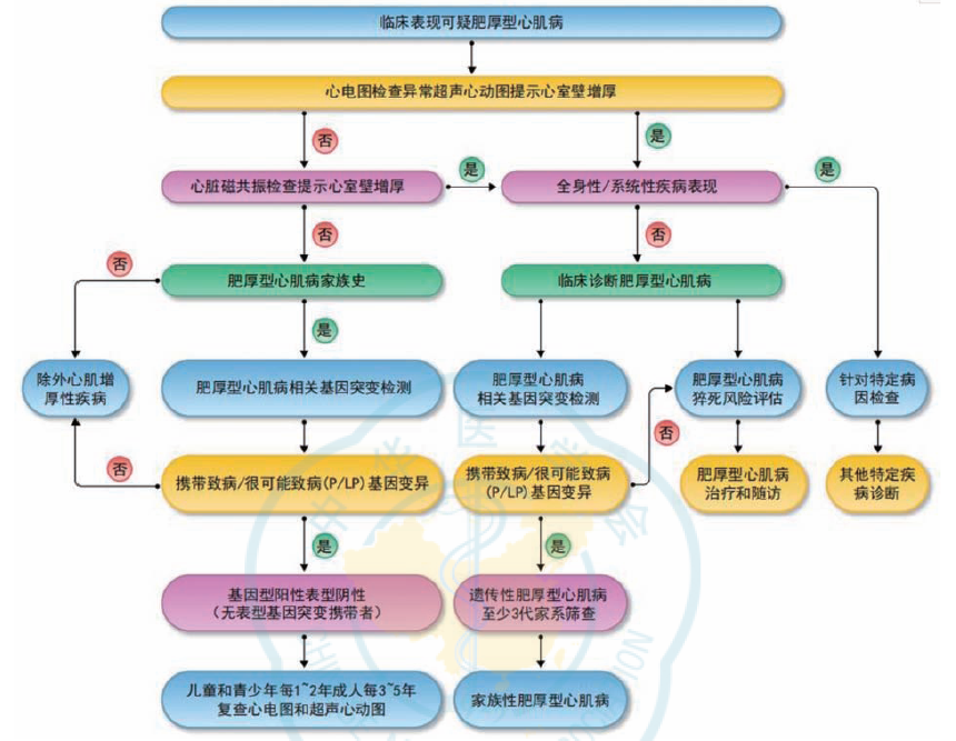 時隔5年，中國肥厚型心肌病管理指南再更新