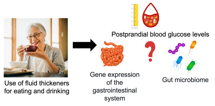 黃原膠液體增稠劑有助于降低血糖水平